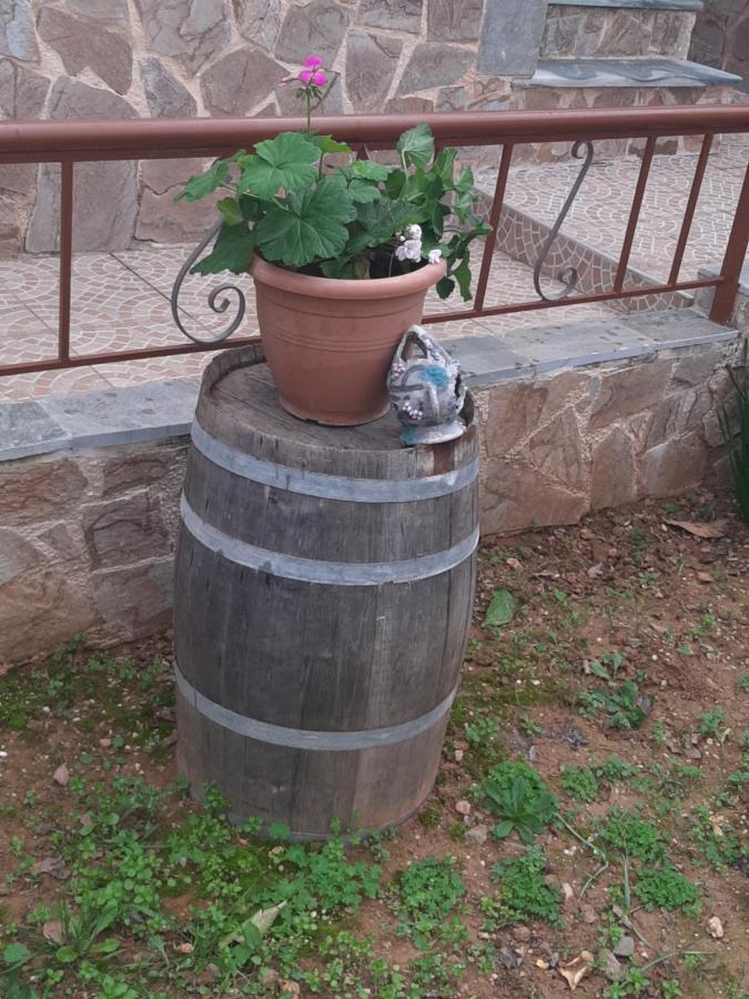 فيلا Peaceful House Near Airport Pikérmion المظهر الخارجي الصورة