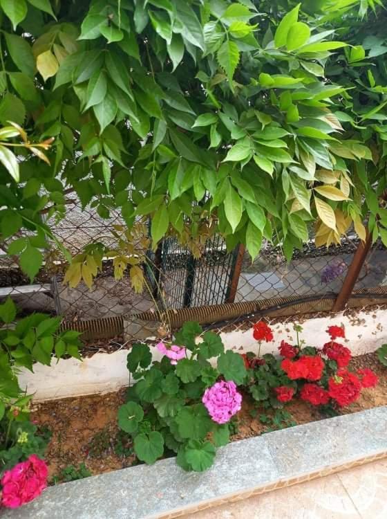فيلا Peaceful House Near Airport Pikérmion المظهر الخارجي الصورة