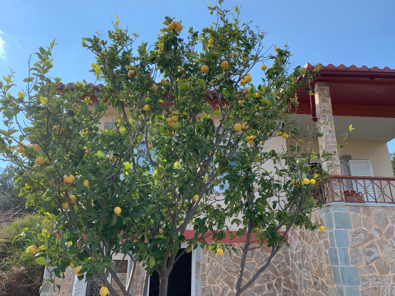 فيلا Peaceful House Near Airport Pikérmion المظهر الخارجي الصورة
