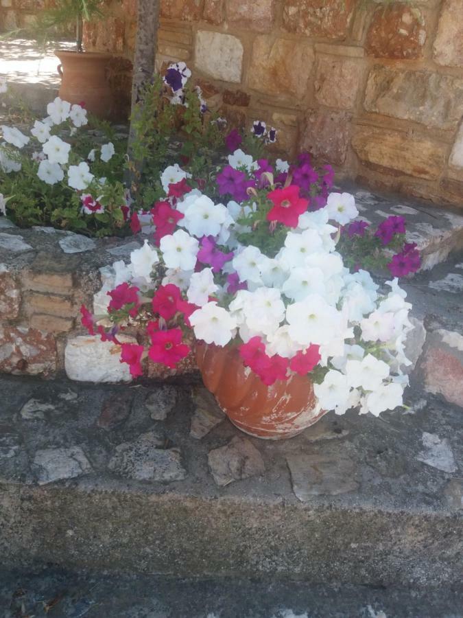 فيلا Peaceful House Near Airport Pikérmion المظهر الخارجي الصورة